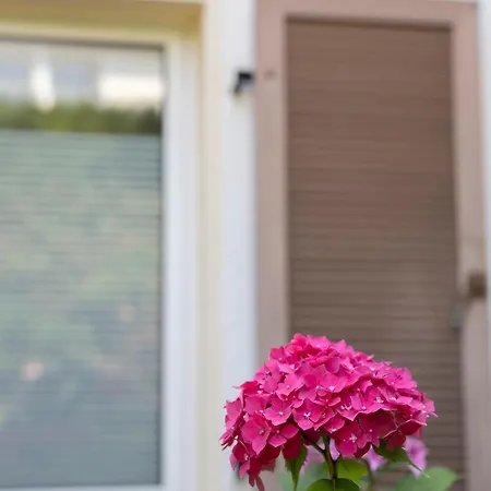 El - Stylish Living And Working Near Frankfurt Сasa de vacaciones Friedrichsdorf